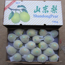 Grüner Shandong-Birnen-Großhandelspreis